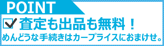 注目ポイント